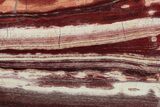 Polished Snakeskin Jasper Slab - Western Australia #221535-1